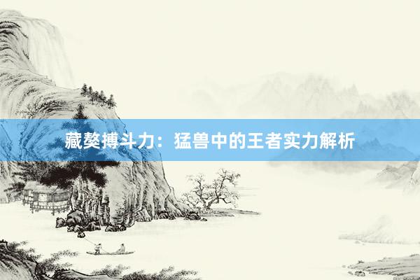 藏獒搏斗力：猛兽中的王者实力解析