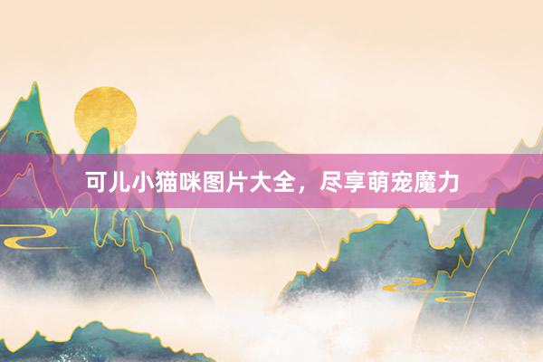可儿小猫咪图片大全，尽享萌宠魔力